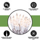 612 Vermont Clear 20 Count Christmas String Lights On White Wire Cord Ul Approved For Indoor Use Only Total Length 4.9 Foot Lighted Length 3.4 Foot