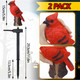 Baquler 2 Pack Cardinal Solar Lights Cardinal Outdoor Decor Red Bird Solar Light Bird Figurine Garden Stake For Pathway Garden Lawn Yard Christmas S Decorations