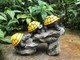 Bo-Toys Solar Powered Turtles On Log Outdoor Accent Lighting Led Garden Light Decor