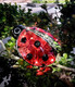 Euiroet Ladybug Solar Light Metal Statue - Charming Garden Lighting & Decor Solar Powered Patio Accent Night Lights Landscape Path Ornament Yard Art Sculpture Outdoor Lawn Decor (9.8")