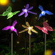 Oxyled Oxyled Solar Garden Stake Lights 6 Pack Outdoor Led Figurine Lighting Color Changing Waterproof Solar Hummingbird Lights Butterfly Dragonfly For Patio Yard Pathway