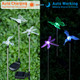 Oxyled Oxyled Solar Garden Stake Lights 6 Pack Outdoor Led Figurine Lighting Color Changing Waterproof Solar Hummingbird Lights Butterfly Dragonfly For Patio Yard Pathway