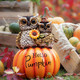 Teresa'S Collections Fall Decor Fall Owl Decor Owl Perch On Pumpkin With Solar Light Outdoor Fall Decor Waterproof Resin Fall S Outdoor/Indoor 7.1"