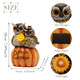 Teresa'S Collections Fall Decor Fall Owl Decor Owl Perch On Pumpkin With Solar Light Outdoor Fall Decor Waterproof Resin Fall S Outdoor/Indoor 7.1"