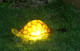 Tiaan 157808 Solar Powered Led Light Garden Decorturtle With Led Glowing Shell