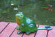 Tiaan Garden Decor Garden Solar Light 157807 Solar Powered Outdoor Led Light Frog With Led Glowing Shells
