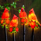 Vihose Cardinal Solar Stake Lights Red Bird Figurine Solar Stake Light Decorative Outside Garden Decor Christmas Landscape Lights Cardinal S For Mother Lawn Yard Decor Women(Vivid)