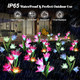 Welight Outdoor Solar Lights Garden Decoration Bigger Lily Flowers 2 Pack Waterproof 5 Color Changing Led Powered Light Large Panel For Garden Pathway Patio  For Mom Grandma (Purple And White)