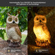 Wondhome Solar Owl Garden Statues Outdoor Decor Resin Owl Figurine With Led Lights Owl Sculpture For Porch Patio Lawn Yard Decorations Halloween Christmas Housewarming S For Women Mombrown Owl