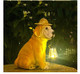 Youfui Dog Figurine Light Solar Garden Outdoor Dog S Statues With Led Light For Patio Balcony Yard Ornament Figurine Light Housewarming S