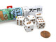 Koplow Games Elk Dice Game with 5 Dice Travel Tube and Gaming Instructions