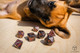 Q Workshop Dogs Dice Set Luna by Q-Workshop
