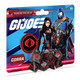Renegade Game Studios Renegade Game Studios G.I. Joe Roleplaying Game: Cobra Dice Set - 8 Piece (7 Dice 1 d2 Coin) Renegade RPG Accessory