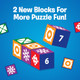 The Uzzle 3.0 Board Game Family Board Games for Children & Adults Block Puzzle Games for Ages 4+