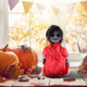 TOYANDONA Halloween Creepy Dolls Voice-Activated Glowing Walking Doll Scene Layout Props - Red