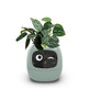Itigoitie  Smart Flowerpots Smart Pet Planter Ai Planter Intelligent Flowerpots,Multiple Expressions 7 Smart Sensors and Ai Chips Make Raising Plants Easy and Fun for Living Room,Plant-Free Green