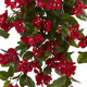 Nearly Natural 28Ãƒæ’Ã‚¢Ãƒ¢Ã¢‚¬Å¡Ã‚¬ÃƒŠã‚ Bougainvillea Hanging Bush Artificial (Set Of 2) Uv Resistant (Indoor/Outdoor) Silk Plants Red