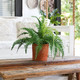 Nearly Natural 22In. Artificial Fern Plant In Decorative Planter