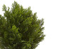 Nearly Natural 2Ft. Cedar Artificial Bush (Indoor/Outdoor)