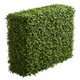 Nearly Natural 39Ãƒæ’Ã‚¢Ãƒ¢Ã¢‚¬Å¡Ã‚¬ÃƒŠã‚ Boxwood Artificial Hedge (Indoor/Outdoor) Silk Plants Green