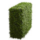 Nearly Natural 39Ãƒæ’Ã‚¢Ãƒ¢Ã¢‚¬Å¡Ã‚¬ÃƒŠã‚ Boxwood Artificial Hedge (Indoor/Outdoor) Silk Plants Green