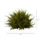 Nearly Natural 4949-S3 Cedar Balls, 7.5-Inch, Green, Set Of 3,6.75" X 6.75" X 22.5"