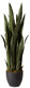 Nearly Natural , Green 4855 35In. Sansevieria With Black Planter