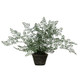 Nearly Natural 4251 Maiden Hair Artificial Plant In Planter Green Small