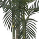 Nearly Natural 6.5Ft (78Ãƒæ’Ã‚¢Ãƒ¢Ã¢‚¬Å¡Ã‚¬ÃƒŠã‚³) Golden Cane Artificial Palm Tree Ãƒæ’Ã‚¢Ãƒ¢Ã¢‚¬Å¡Ã‚¬Ãƒ¢Ã¢Š¬Ã…Œ Lifelike Indoor Silk Palm With 3 Textured Trunks, 333 Flexible Fronds, Nursery Planter, No-Water Maintenance