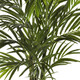 Nearly Natural 2.5Ft Artificial Areca Palm Tree, Uv Resistant (Indoor/Outdoor)