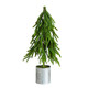 Nearly Natural 20In. Real Touch Norfolk Island Pine Christmas Tree In Metal Planter