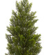 Nearly Natural 3Ft. Mini Cedar Pine Tree (Indoor/Outdoor)