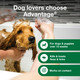 Advantage Dog Flea & Tick Shampoo For Puppies & Adult Dogs Kills Fleas & Ticks 8 Oz.