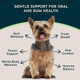 Animal Essentials Healthy Gums For Dogs & Cats - Dental Care Mouth & Gum Support Dental Drops All Natural Pet Supplement Oral Care - 1 Fl Oz
