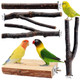 Bbjinronjy Bird Toys Parakeet Perch Budgie Perch Wood Stand Fork Toys Multi-Branch Perch Platform Toy For Small ConuresCockatielParrotletLovebirdParrotFinches