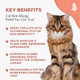 Bestlife4Pets Cat Itchy Skin Relief & Hair Loss Treatment Holistic Allergy Relief For Cats Calms Dry Skin Dandruff & Reduces Licking Scratching Patchy Matted And Shedding Fur 400 Easy To Use Pills