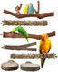 Bissap Bird Perch Stand 7Pcs Natural Grape Wood Pole Standing Parrot Cage Branch Paw Grinding Fork Parakeet Platform Hammock For Conures Budgies Finches Cockatiels Small Birds Exercise Training