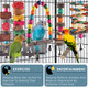 Bissap Bird Chew Toys 7 Packs Parakeet Natural Wood Toys Parrot Hanging Cage Toy Perch Stand For Small Birds Conure Cockatiel Parrotlet Lovebird Budgie