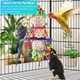 Bissap 2Pcs Bird Parrot Foraging Shredder Hanging Toys Sola Balls Sepak Takraw With Pacifier For Small Parrots Parakeets Conures Cockatiels Love Birds Cage Toy