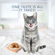 Blue Buffalo Tastefuls Wet Cat Food Patã£Æ’Ã¢© Variety Pack Made With Natural Ingredients Chicken Turkey & Chicken Ocean Fish & Tuna Entrã£Æ’Ã¢©Es 5.5-Oz Cans (24 Count 8 Of Each)