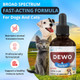 Eduzebra Cats And Dogs Natural Broad Spectrum Treatment - Against Parasites And Toxins - Herbal Medicine Support - All Breeds And Size - Puppy & Kitten