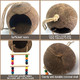 Eeaivnm Hanging Coconut Birds House With LadderNatural Coconut Fiber Shell Bird Nest For Parrot Parakeet Lovebird Finch CanaryCoconut Hide Birds Swing Toys For HamsterBird Cage AccessoriesPet Bird Supply