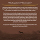 Equithrive Horse Electrolyte Pellets Vitamins And Minerals Supplement Equine Feed Supplies For Training And Competition .5 Lbs 3 Day Supply
