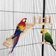 Frgkbtm Bird Perches Platform Swing With Climbing Ladder Parakeet Cage Accessories Wooden Playing Gyms Exercise Sturdy For Small Birds