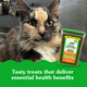 Greenies Feline Smartbites Healthy Indoor Cat Treats Tuna Flavor 2.1 Oz. Pack