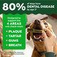Greenies Veterinarian-Recommended Natural Dental Dog Treats Regular Size Original Flavor 6 Oz. Pack 22 Count