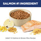 Hill'S Science Diet Adult 1-6 Adult 1-6 Premium Nutrition Dry Cat Food Chicken Recipe 4 Lb Bag