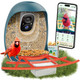 Hixx Smart Bird Feeder With Camera Ai Identify Birds & Auto Capture 2K Hd Live Camera Birdwatching With Color Night Vision For Bird Lovers S (Green)