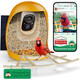 Hixx Smart Bird Feeder With Camera Lifetime Ai Identify Birds & Auto Capture 2K Hd Live Camera Birdwatching With Color Night Vision For Bird Lovers S (Spring Green)
