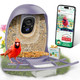 Hixx Smart Bird Feeder With Camera Ai Identify Birds & Auto Capture 2K Hd Live Camera Birdwatching With Color Night Vision For Bird Lovers S (Purple)